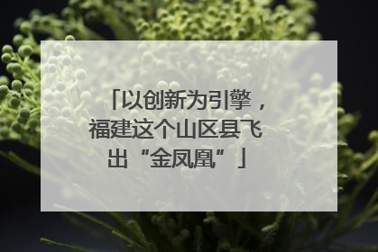 以创新为引擎，福建这个山区县飞出“金凤凰”