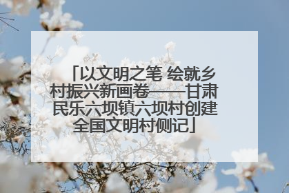 以文明之笔 绘就乡村振兴新画卷——甘肃民乐六坝镇六坝村创建全国文明村侧记