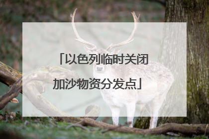 以色列临时关闭加沙物资分发点