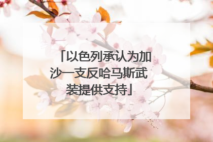 以色列承认为加沙一支反哈马斯武装提供支持