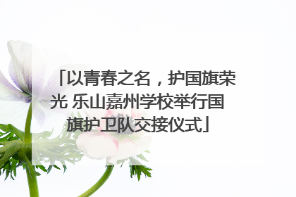 以青春之名，护国旗荣光 乐山嘉州学校举行国旗护卫队交接仪式