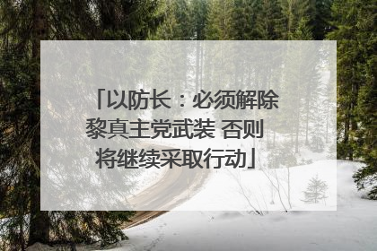 以防长：必须解除黎真主党武装 否则将继续采取行动