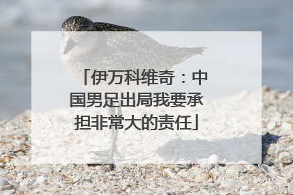 伊万科维奇：中国男足出局我要承担非常大的责任