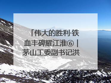 伟大的胜利·铁血丰碑耀江淮⑥｜茅山工委副书记洪天诚的亲笔信