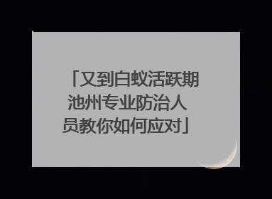 又到白蚁活跃期 池州专业防治人员教你如何应对
