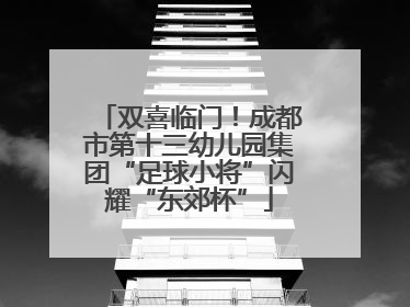 双喜临门！成都市第十三幼儿园集团“足球小将”闪耀“东郊杯”