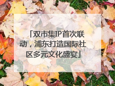 双市集IP首次联动，浦东打造国际社区多元文化盛宴