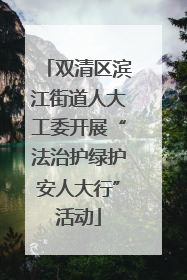 双清区滨江街道人大工委开展“法治护绿护安人大行”活动