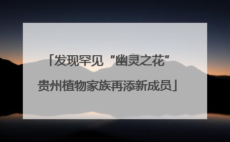 发现罕见“幽灵之花” 贵州植物家族再添新成员