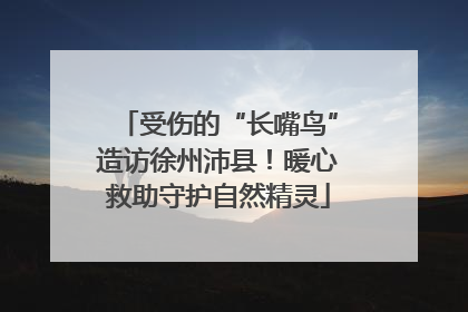 受伤的“长嘴鸟”造访徐州沛县！暖心救助守护自然精灵