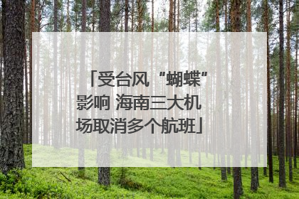 受台风“蝴蝶”影响 海南三大机场取消多个航班