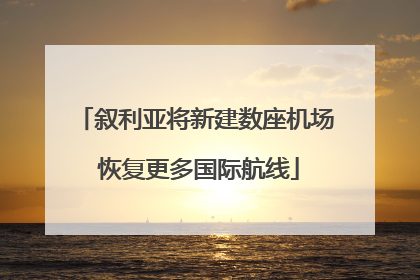 叙利亚将新建数座机场 恢复更多国际航线