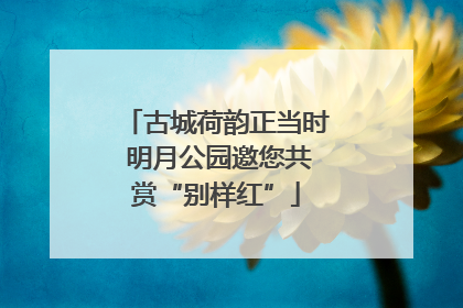 古城荷韵正当时 明月公园邀您共赏“别样红”