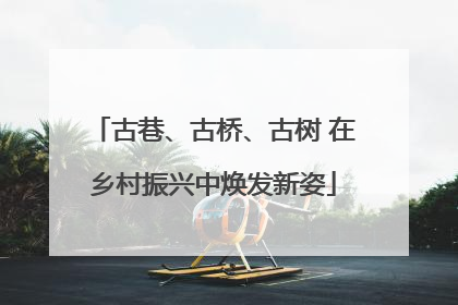 古巷、古桥、古树 在乡村振兴中焕发新姿