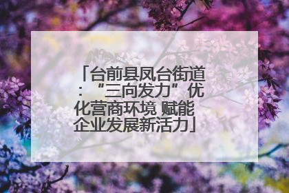 台前县凤台街道：“三向发力”优化营商环境 赋能企业发展新活力