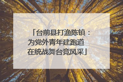 台前县打渔陈镇：为党外青年建跑道 在统战舞台竞风采