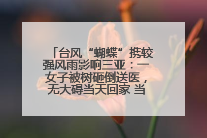 台风“蝴蝶”携较强风雨影响三亚：一女子被树砸倒送医，无大碍当天回家 当地已紧急清障