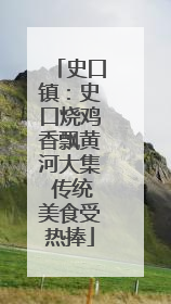 史口镇：史口烧鸡香飘黄河大集 传统美食受热捧