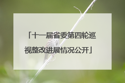 十一届省委第四轮巡视整改进展情况公开