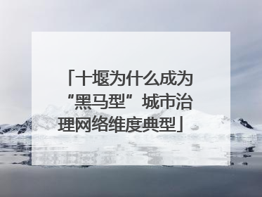 十堰为什么成为“黑马型”城市治理网络维度典型