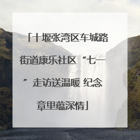 十堰张湾区车城路街道康乐社区“七一”走访送温暖 纪念章里蕴深情