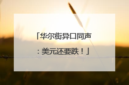 华尔街异口同声：美元还要跌！