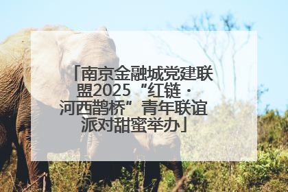 南京金融城党建联盟2025“红链・河西鹊桥”青年联谊派对甜蜜举办
