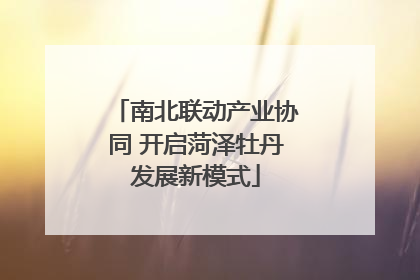 南北联动产业协同 开启菏泽牡丹发展新模式
