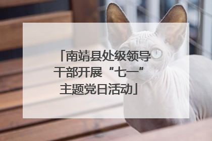 南靖县处级领导干部开展“七一”主题党日活动