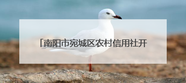 南阳市宛城区农村信用社开展信用记录关爱日宣传活动