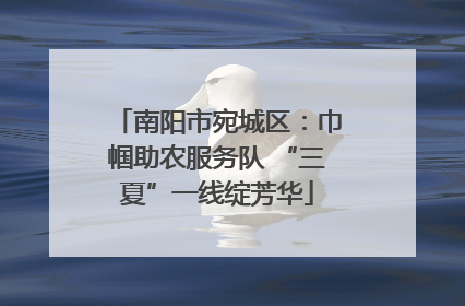 南阳市宛城区：巾帼助农服务队 “三夏”一线绽芳华