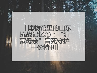 博物馆里的山东抗战记忆①：“沂蒙母亲”冒死守护一份特刊