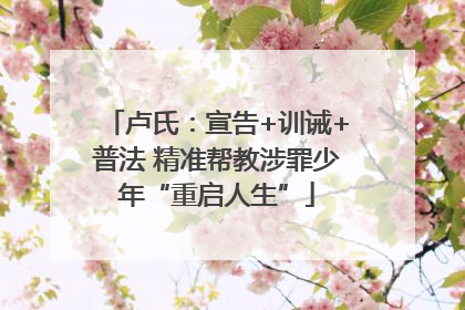 卢氏：宣告+训诫+普法 精准帮教涉罪少年“重启人生”