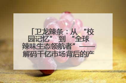 卫龙辣条：从 “校园记忆” 到 “全球辣味生态领航者”——解码千亿市场背后的产品创新与全链路破圈