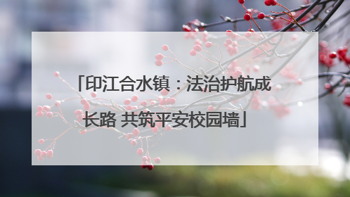 印江合水镇：法治护航成长路 共筑平安校园墙