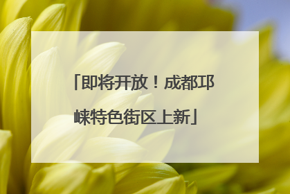 即将开放！成都邛崃特色街区上新