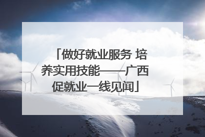 做好就业服务 培养实用技能——广西促就业一线见闻