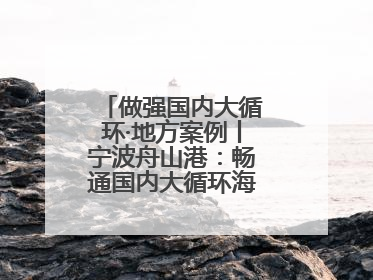 做强国内大循环·地方案例丨宁波舟山港：畅通国内大循环海铁联运走天下