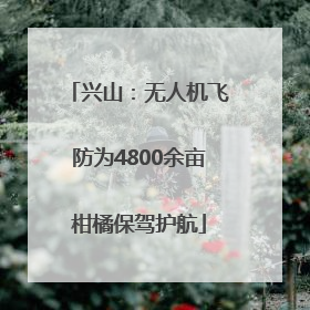 兴山：无人机飞防为4800余亩柑橘保驾护航