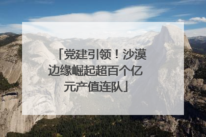 党建引领！沙漠边缘崛起超百个亿元产值连队