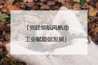 党建领航风帆劲 工会赋能促发展