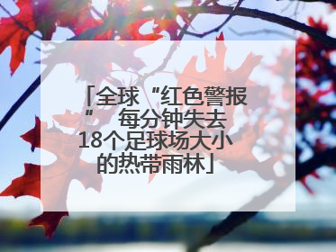 全球“红色警报”  每分钟失去18个足球场大小的热带雨林