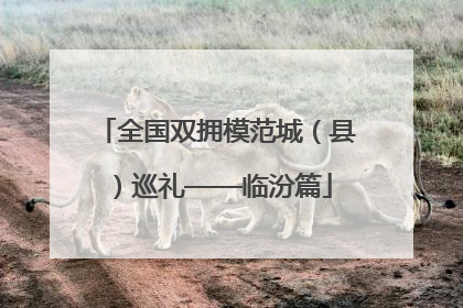 全国双拥模范城（县）巡礼——临汾篇