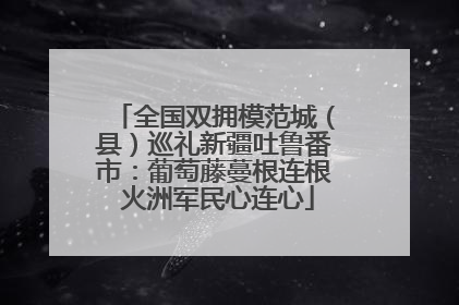 全国双拥模范城（县）巡礼新疆吐鲁番市：葡萄藤蔓根连根 火洲军民心连心