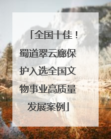 全国十佳！蜀道翠云廊保护入选全国文物事业高质量发展案例