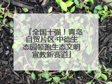 全国十强！青岛自贸片区·中德生态园领跑生态文明宣教新赛道
