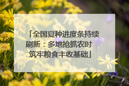 全国夏种进度条持续刷新：多地抢抓农时 筑牢粮食丰收基础