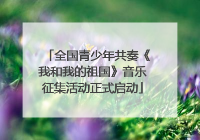 全国青少年共奏《我和我的祖国》音乐征集活动正式启动