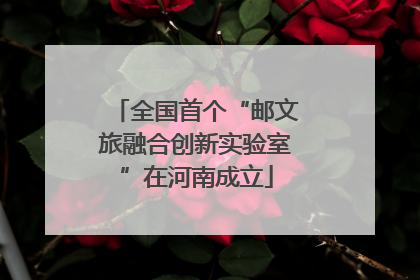 全国首个“邮文旅融合创新实验室”在河南成立