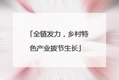 全链发力，乡村特色产业拔节生长